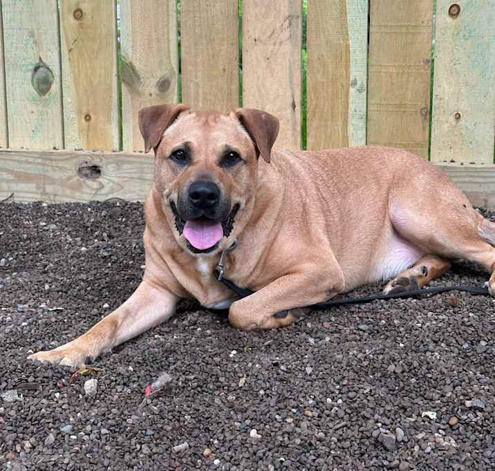 Photo of Hercules