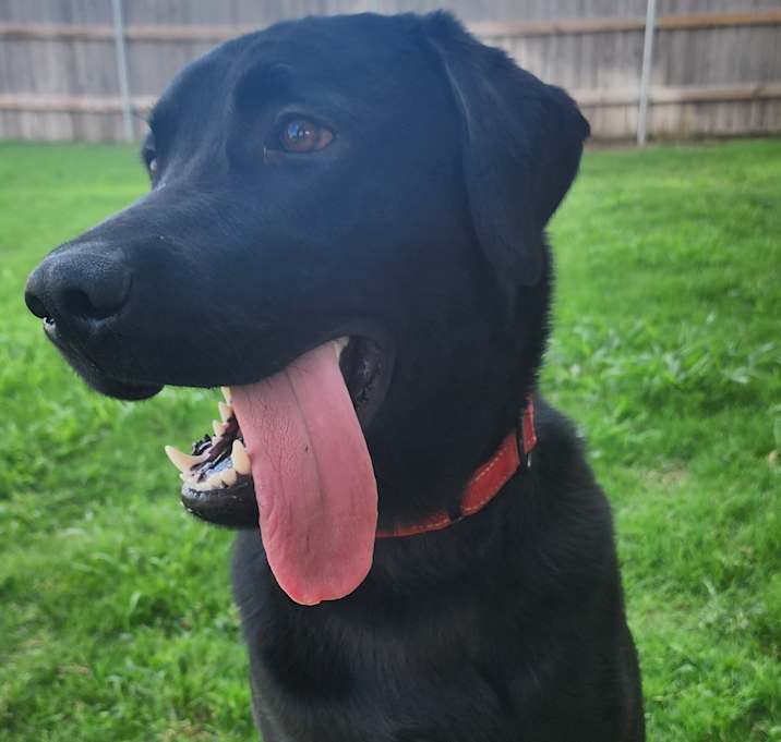 Photo of Revan
