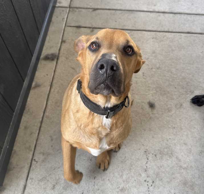 Photo of Captain