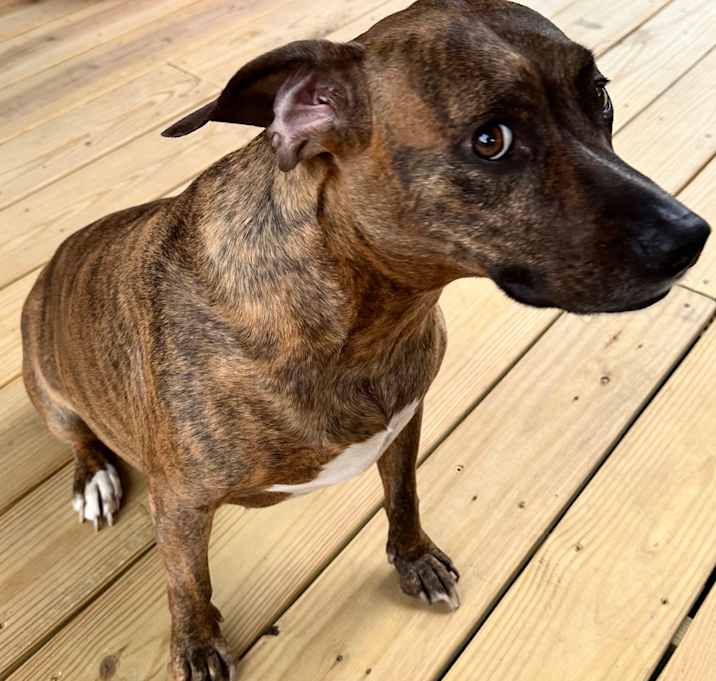 Photo of Mya