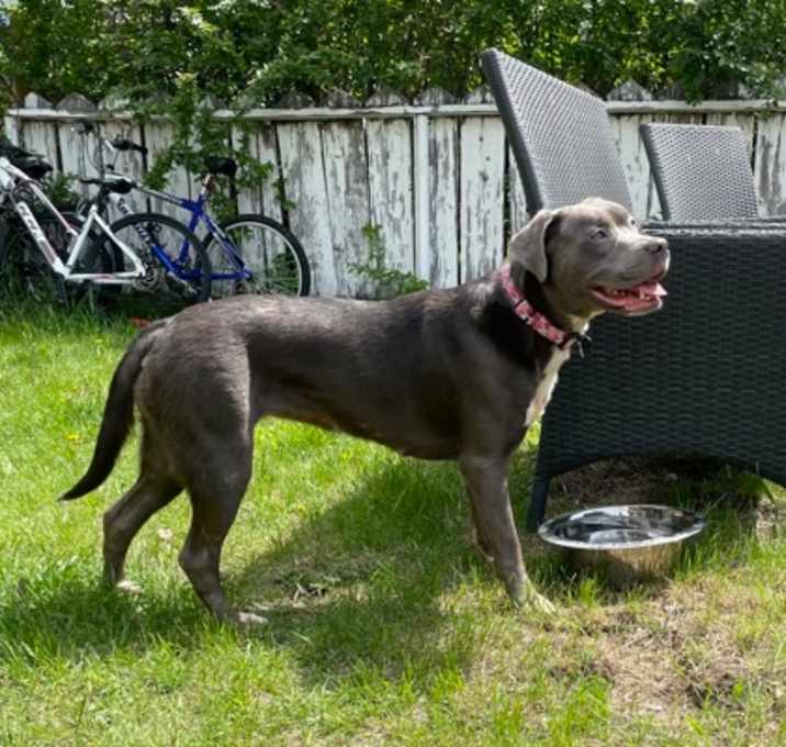 Photo of Asha