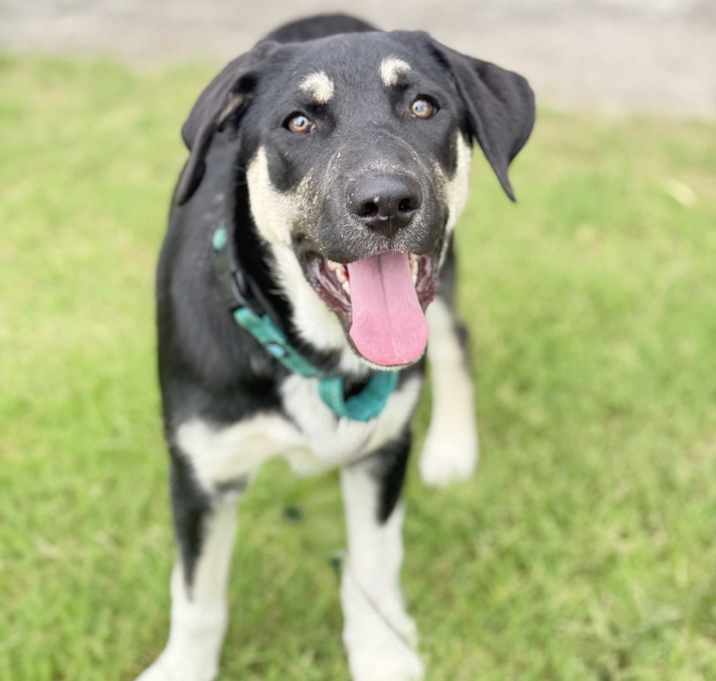 Photo of Lola