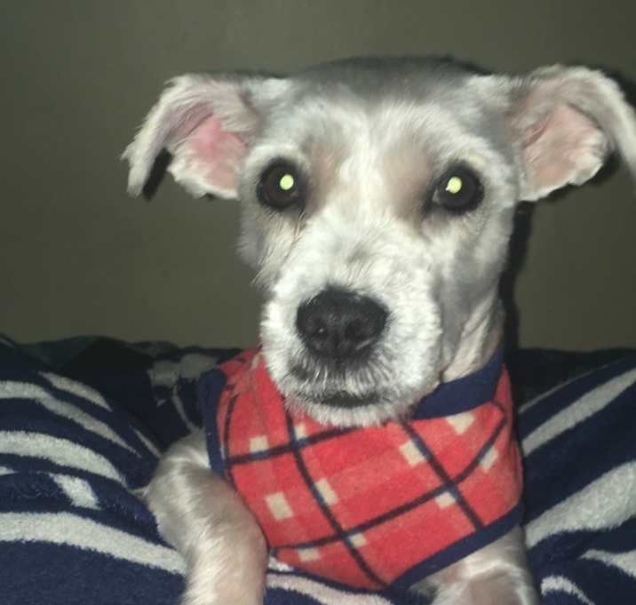 Photo of Caramel