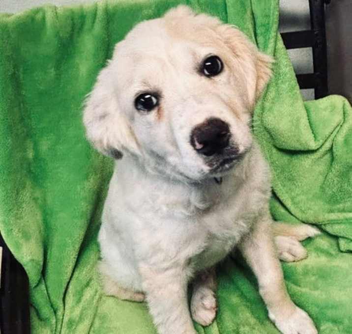 Photo of Winston