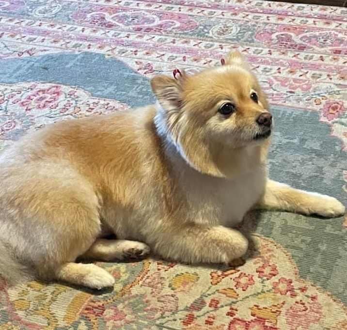 Photo of Truffles