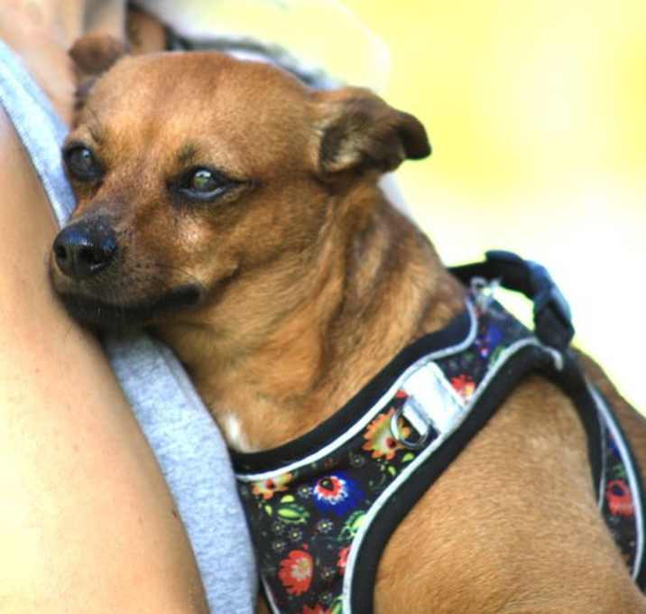 Photo of Mary Jane