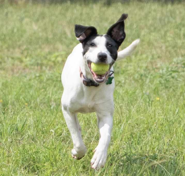 Photo of Cleo