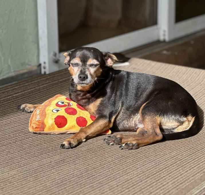 Photo of Steve