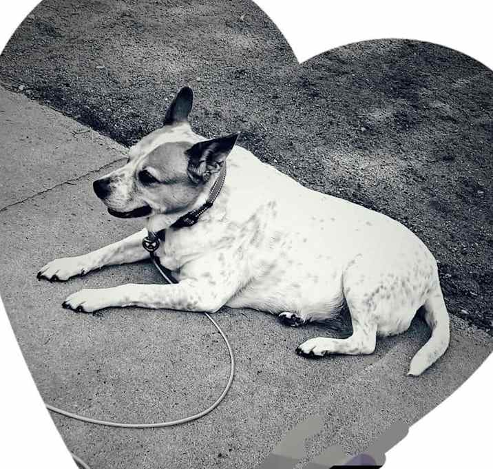 Photo of MOLLY