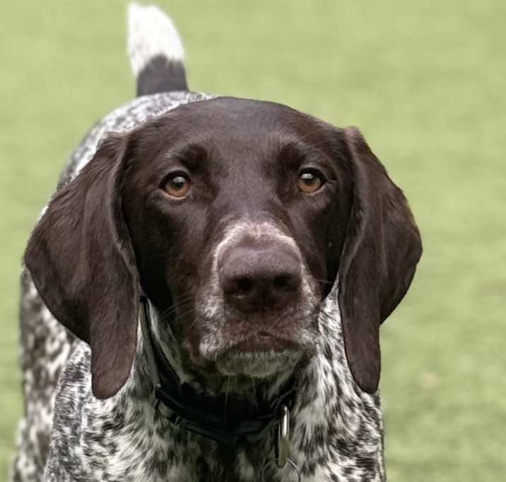 Photo of Maggie