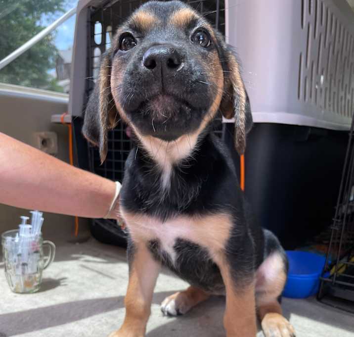 Photo of Reign