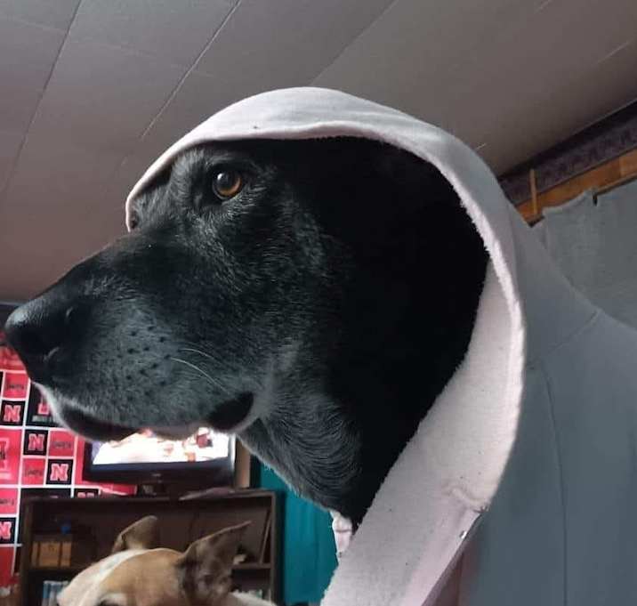 Photo of WHISKEY