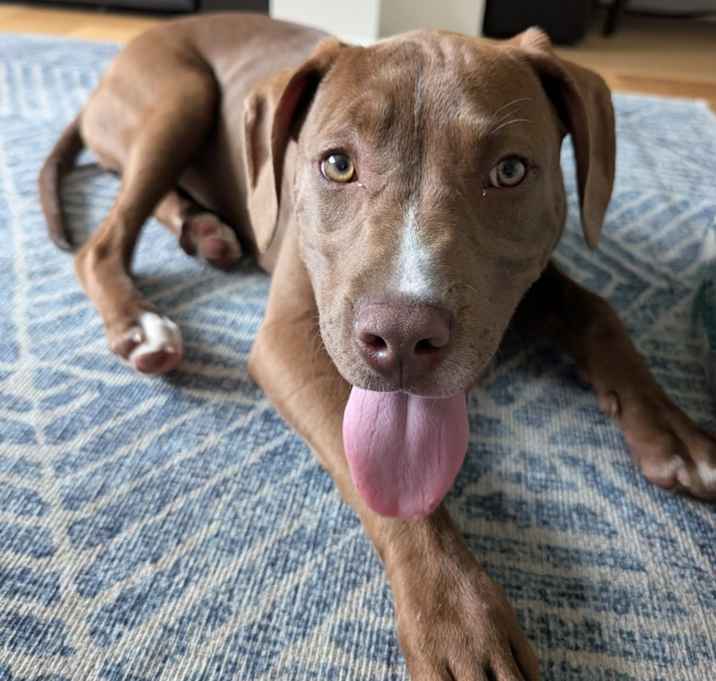 Photo of Tia