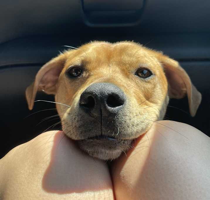 Photo of Murphy