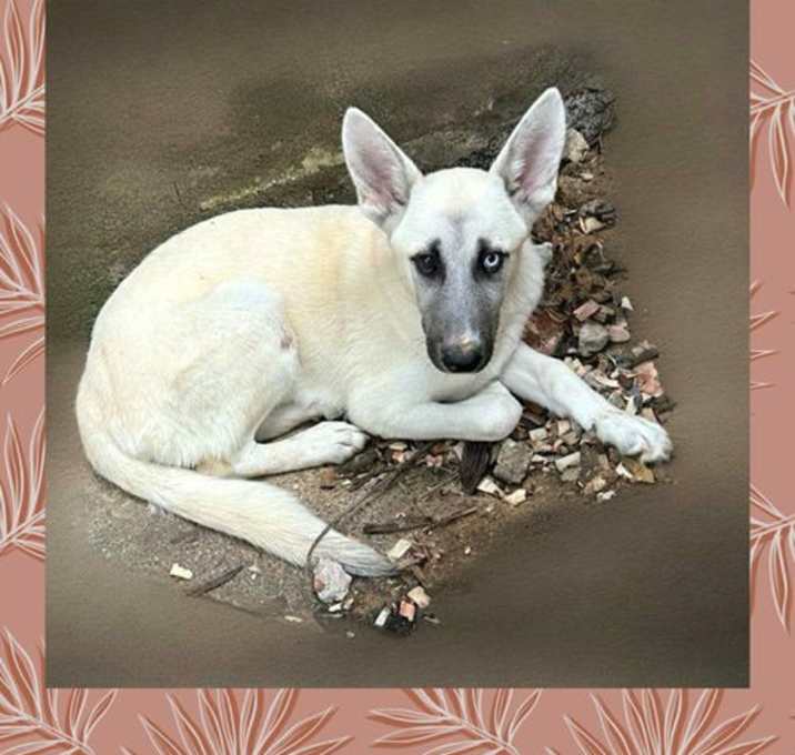 Photo of Fiona