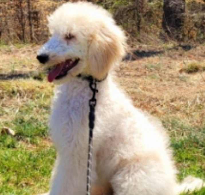 Photo of Elsa