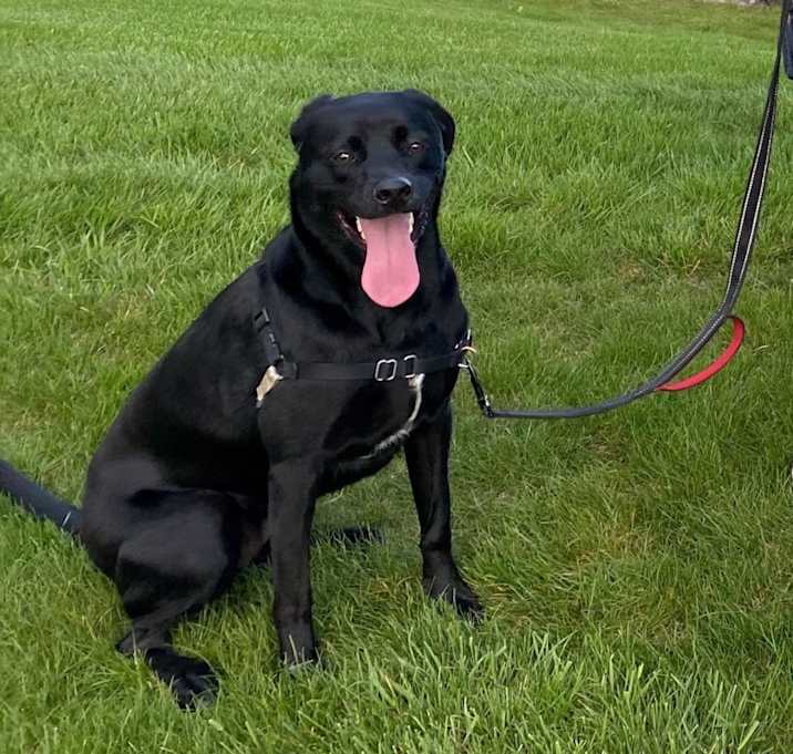 Photo of Arya