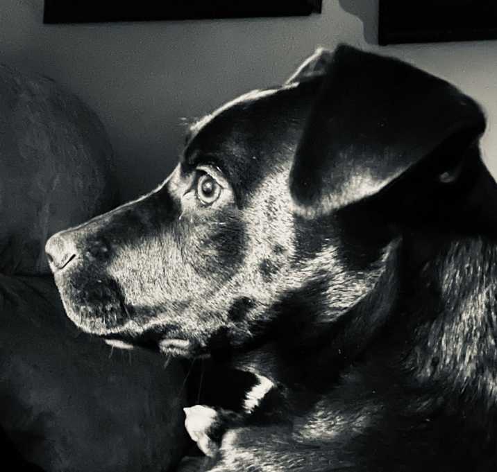 Photo of Agnes