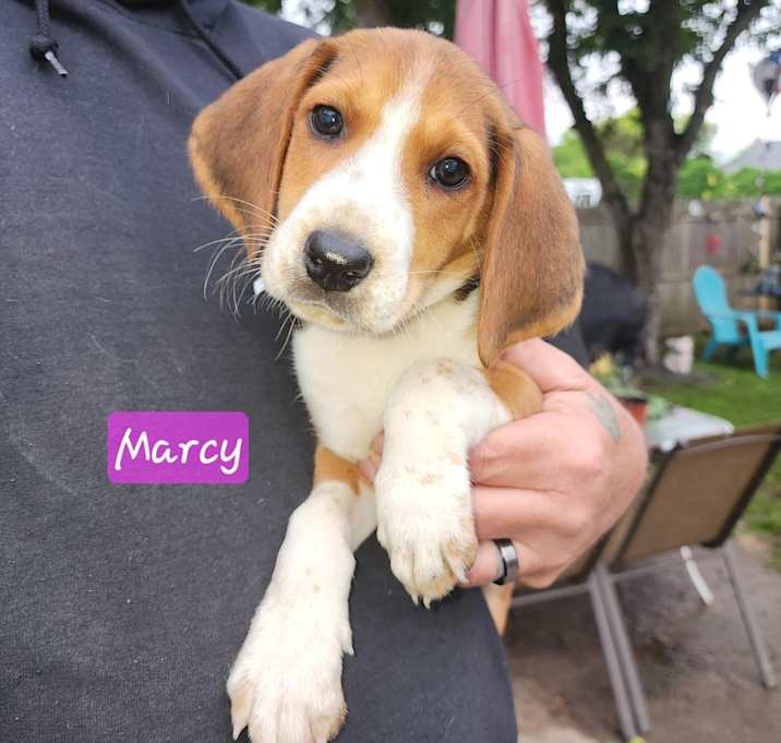 Photo of Marcy