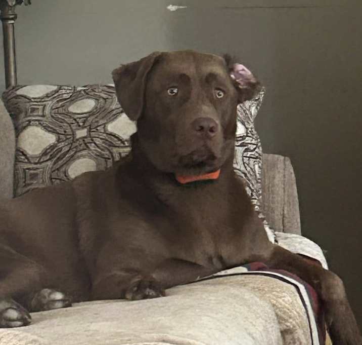 Photo of Doc