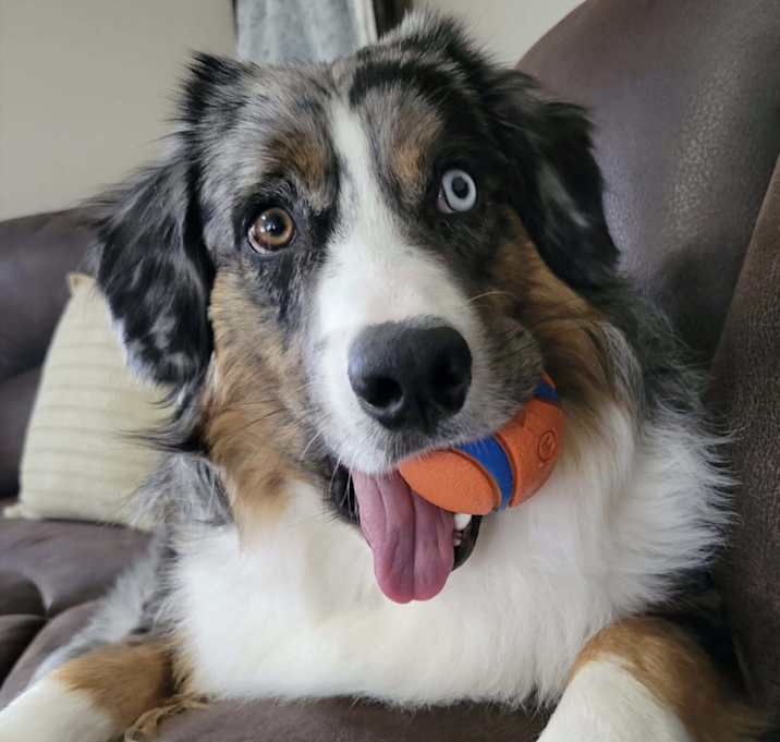 Photo of Cash