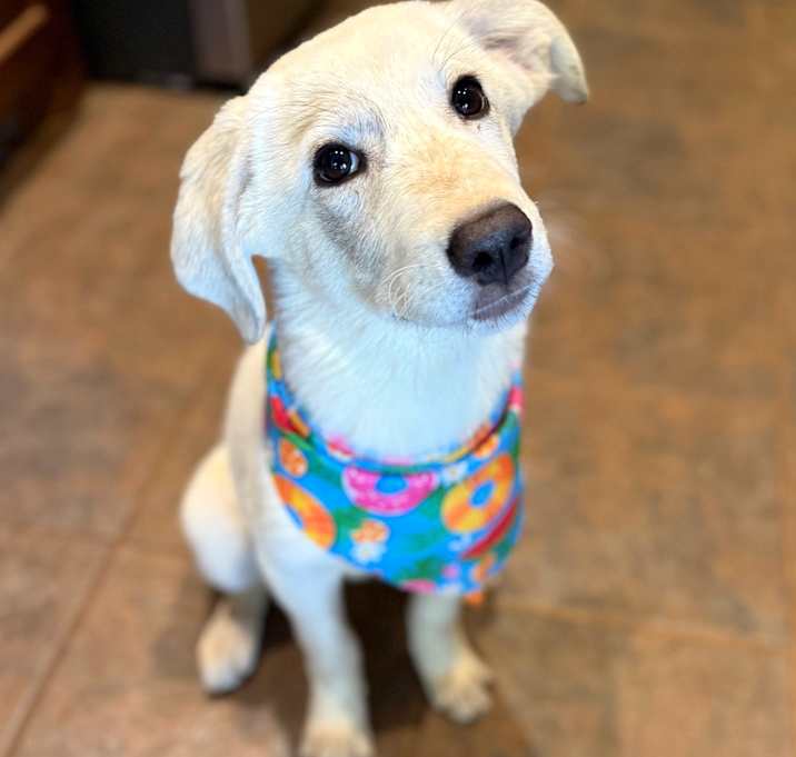Photo of Madison