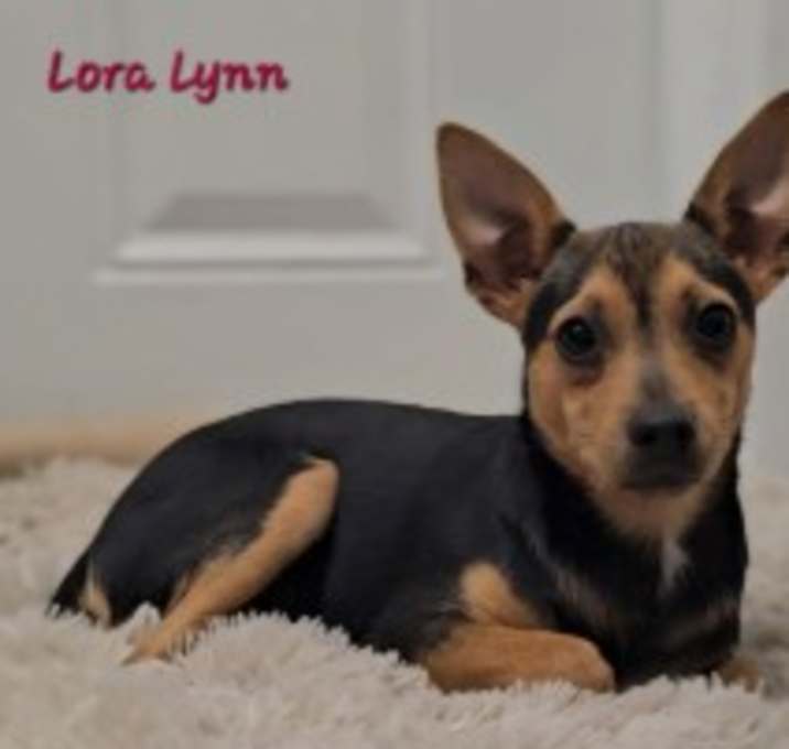 Photo of Lora Lynn