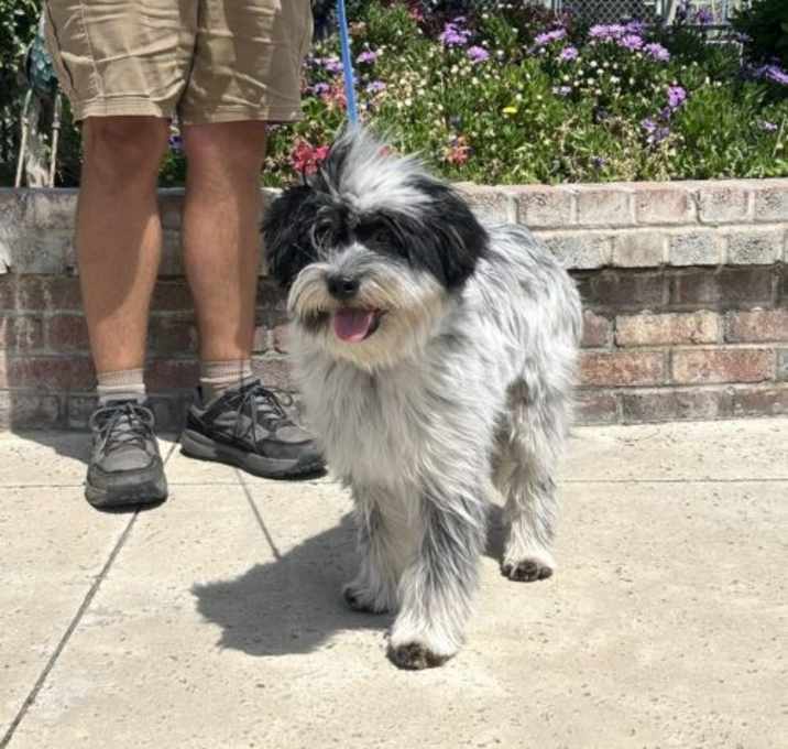 Photo of Max