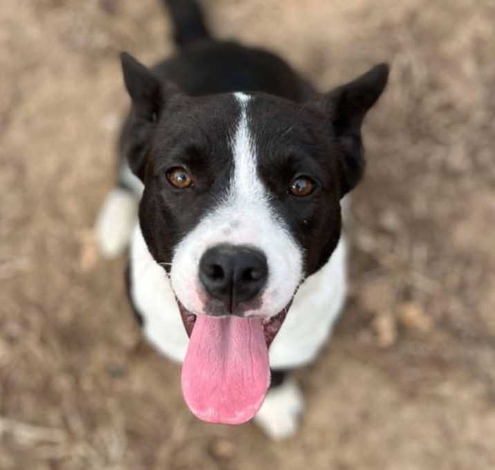Photo of Xena