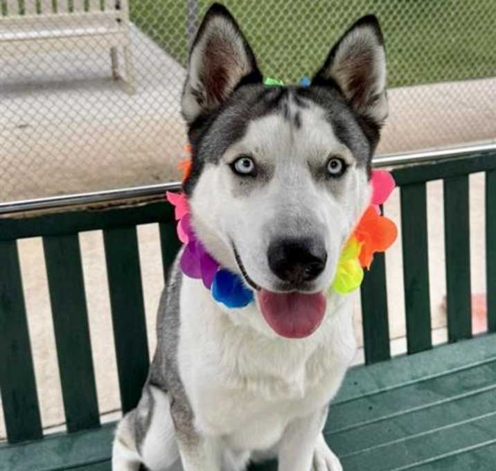Photo of MAVERICK