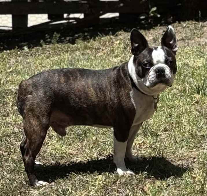 Photo of Kiwi