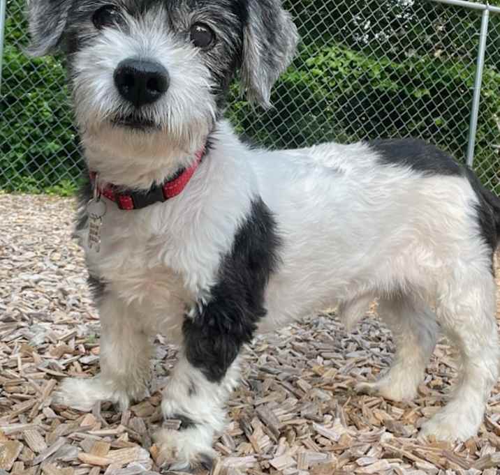 Photo of Percy