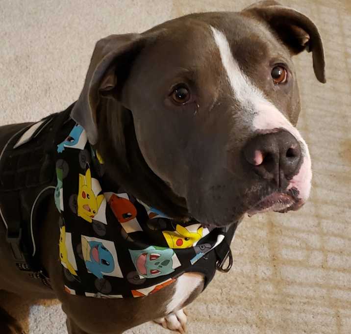 Photo of Hercules