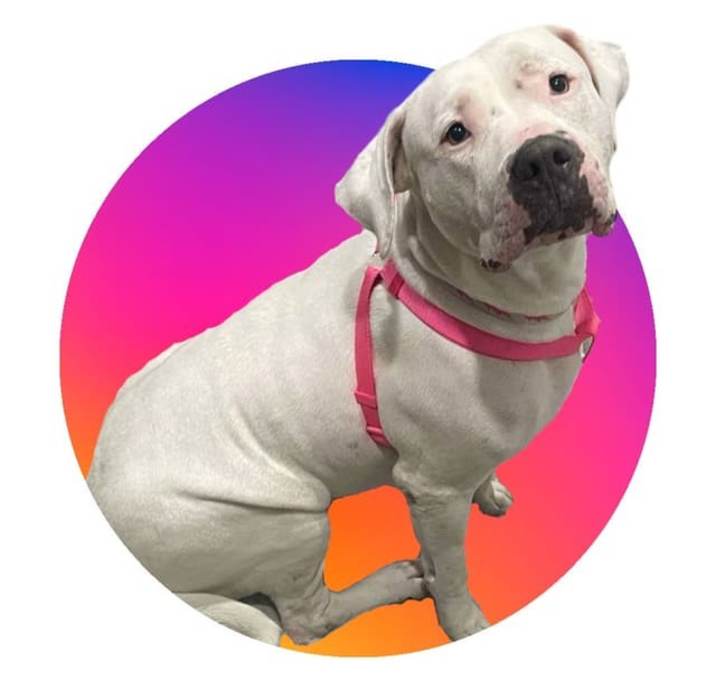Photo of Daisy