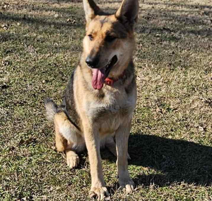 Photo of Luna (new)