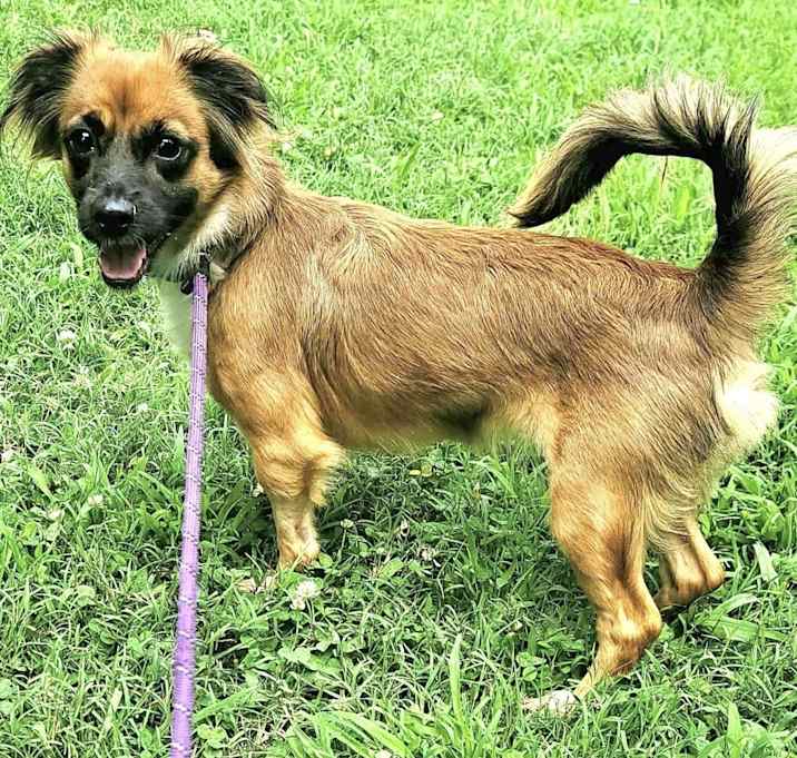 Photo of Veda