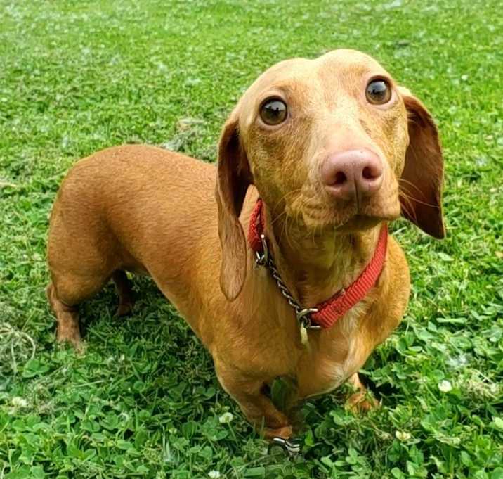 Photo of Winnie