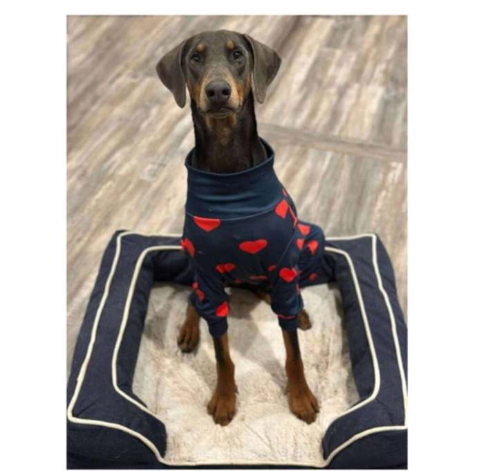 Photo of Trooper