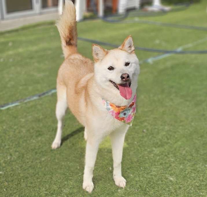 Photo of Heeah