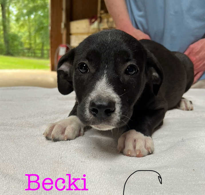 Photo of Becky