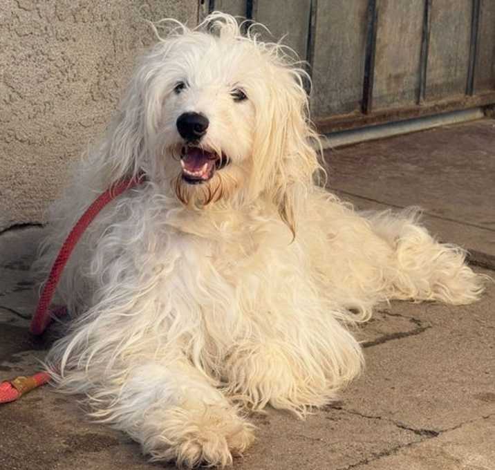 Photo of Phoebe