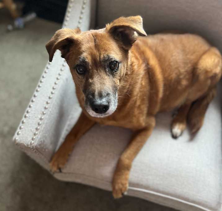 Photo of Mowgli