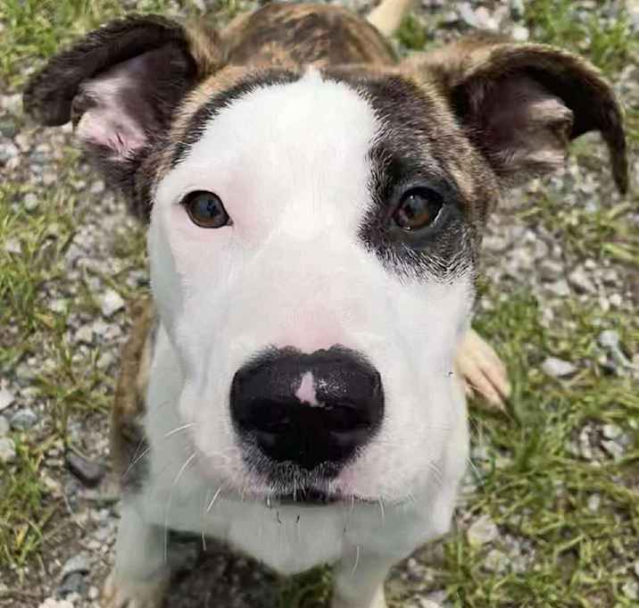 Photo of Jesse/URGENT