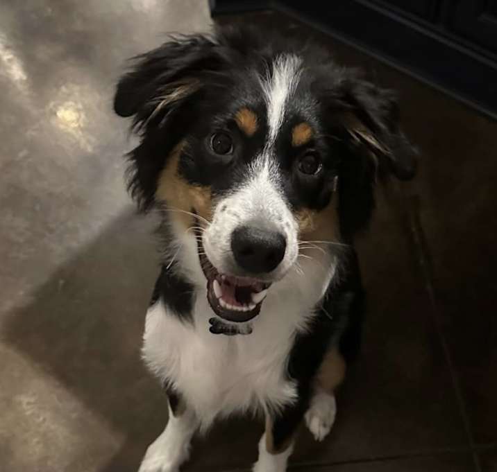 Photo of Ranger