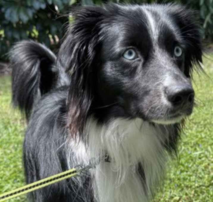 Photo of Storm