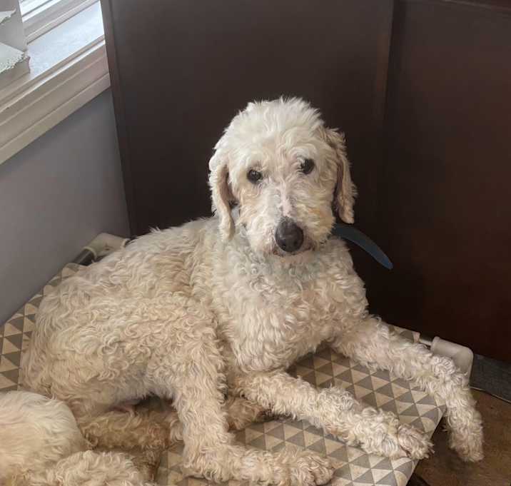 Photo of Ralph