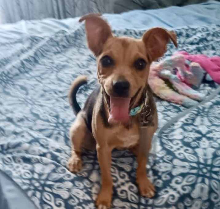 Photo of Stormy