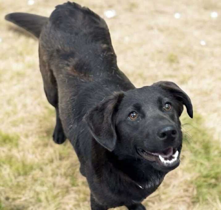 Photo of Kiki