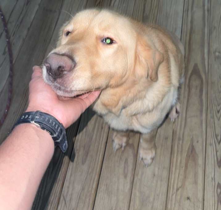 Photo of Max