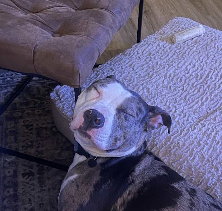 Photo of Baylor